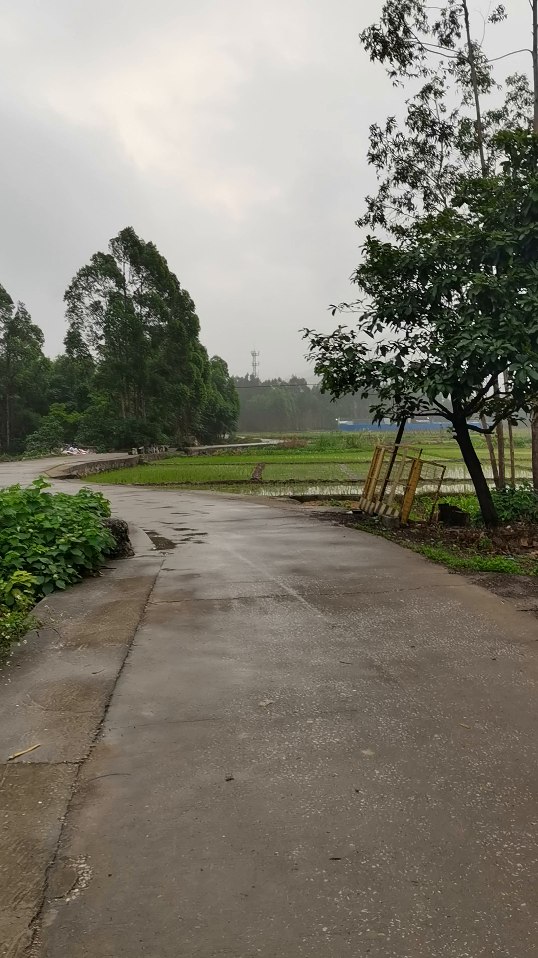 小森生活：这才是田园生活