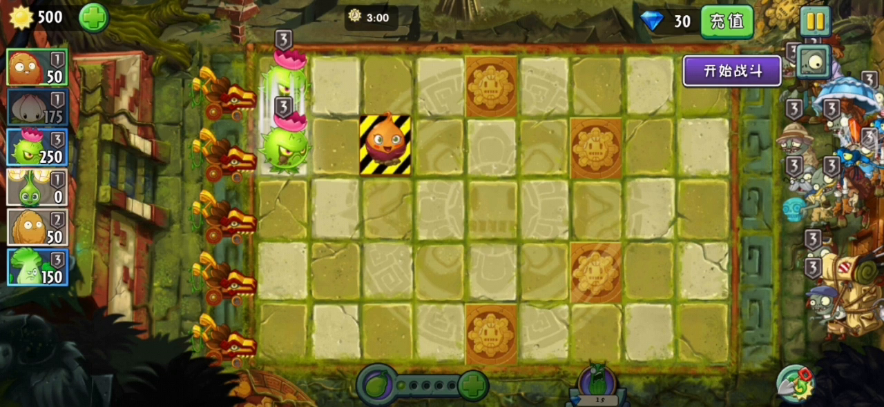 植物大战僵尸2：追击关卡第二关黄金蓓蕾