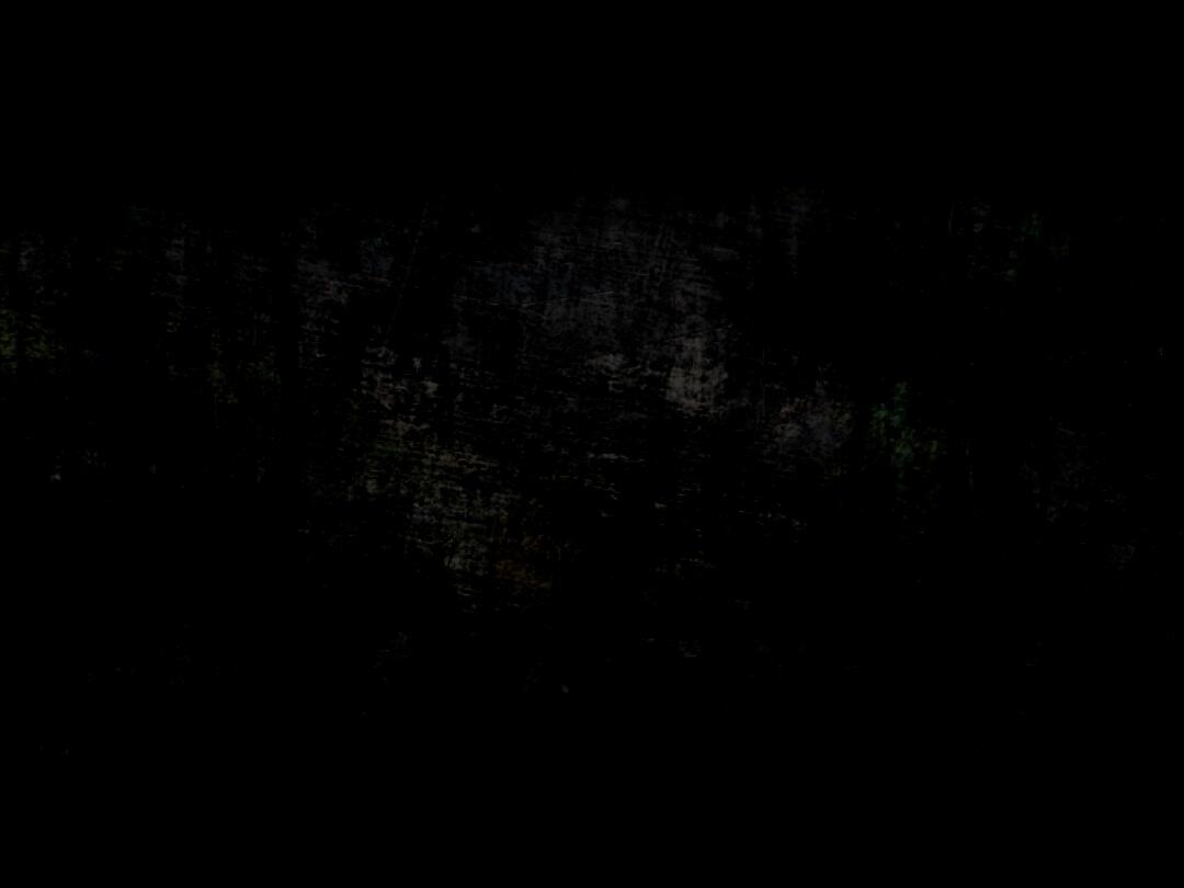 香肠派对：球球卡蜂蜜谷跑酷