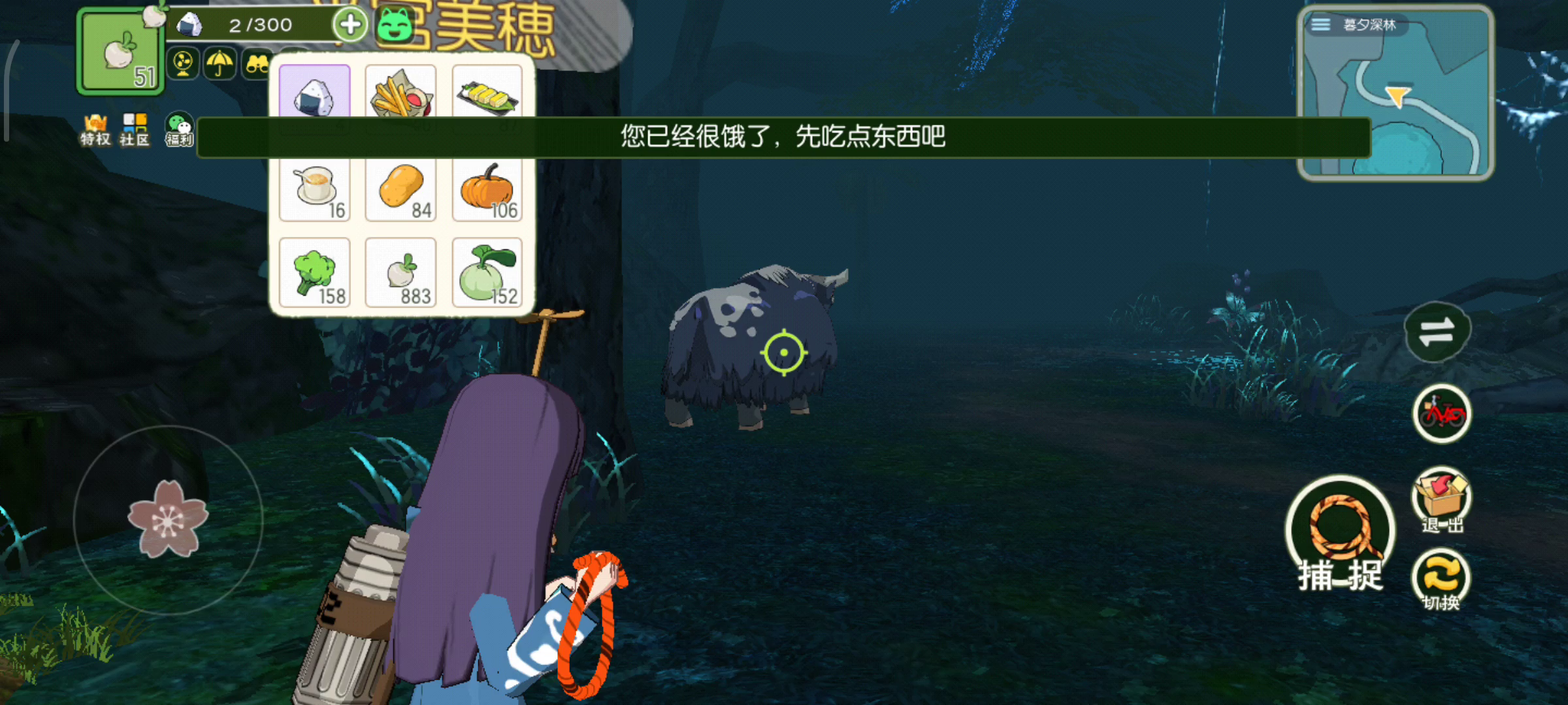 小森生活：关于捕捉。