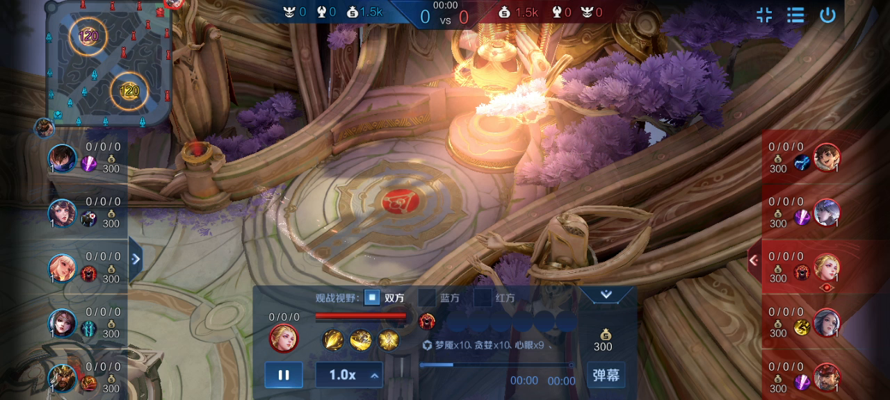 王者荣耀：艾琳实测