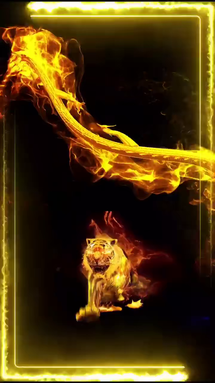 ：你们觉得霸不霸气？????????????????