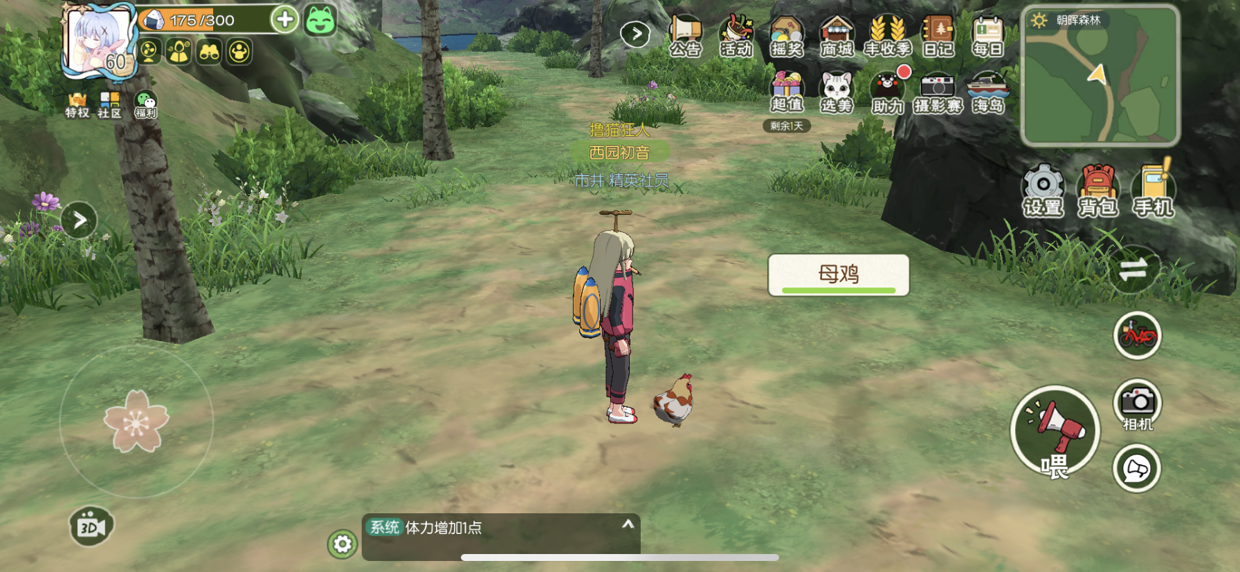 小森生活：抓呀抓呀抓小鸡