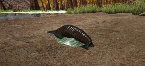 方舟生存进化水蛭在哪刷新