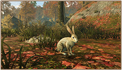 《明日之后》抓兔子技巧解析