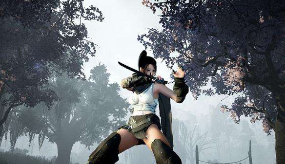 《黑色沙漠》战士职业特色及属性评价