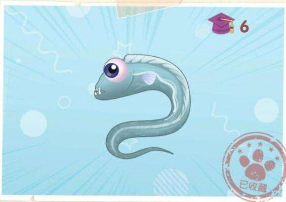 摩尔庄园手游带鱼在哪里获取？