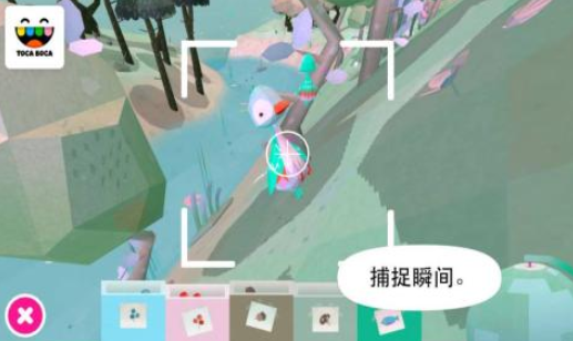 托卡大自然：玩法亮度详解