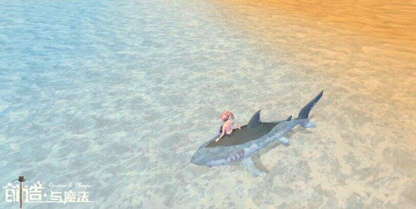 创造与魔法鲨鱼位置一览