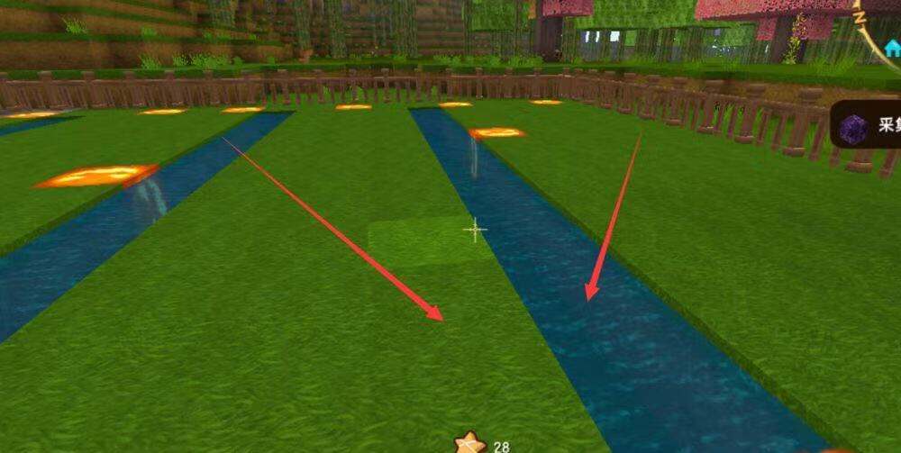 《迷你世界》向阳花怎么长得快