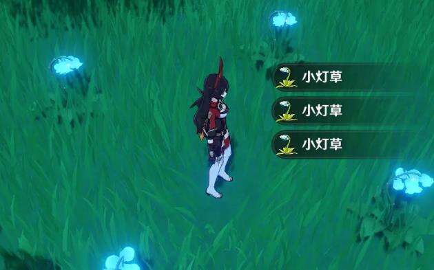 原神尘歌壶种植小灯草条件一览