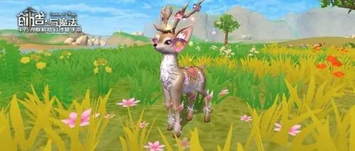 创造与魔法平原在哪里介绍