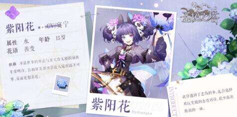 《圣境之塔》紫阳花怎么样 紫阳花介绍