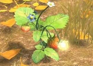 夺笋高手怎么安排保安 保安安排方法分享