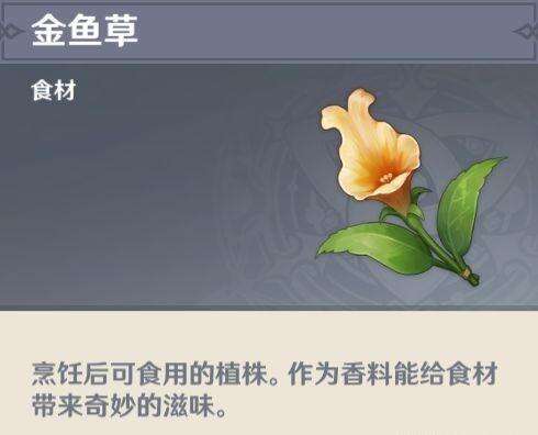 《原神》金鱼草在哪里 金鱼草快速采集线路推荐