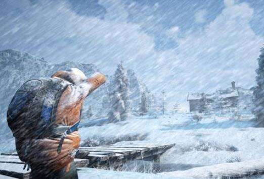 冬日幸存者Steam多少钱 游戏Steam价格介绍