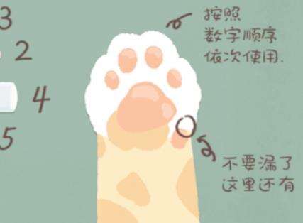 《收纳物语》第8关猫猫肉垫怎么过 第8关猫猫肉垫解析