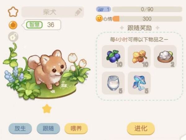 《奥比岛手游》宠物在哪里 宠物位置分享