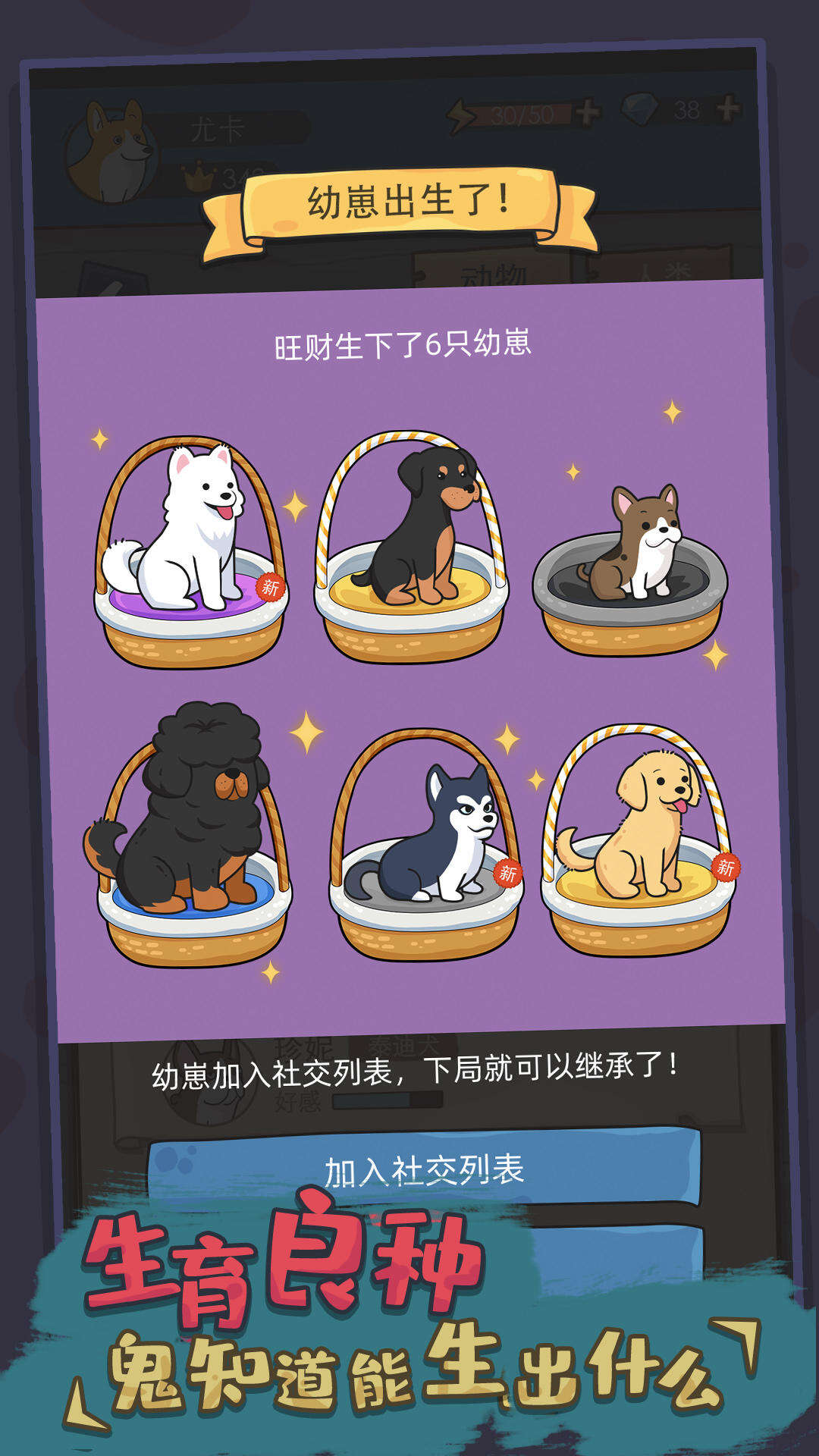 狗生模拟器电脑版下载地址及安装说明