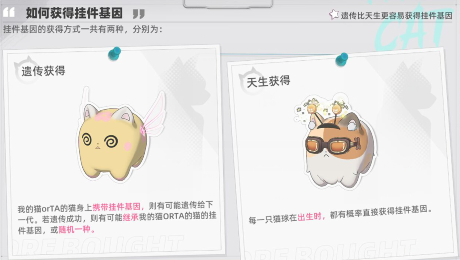 《猫之城》挂件基因怎么获取 挂件基因获取攻略