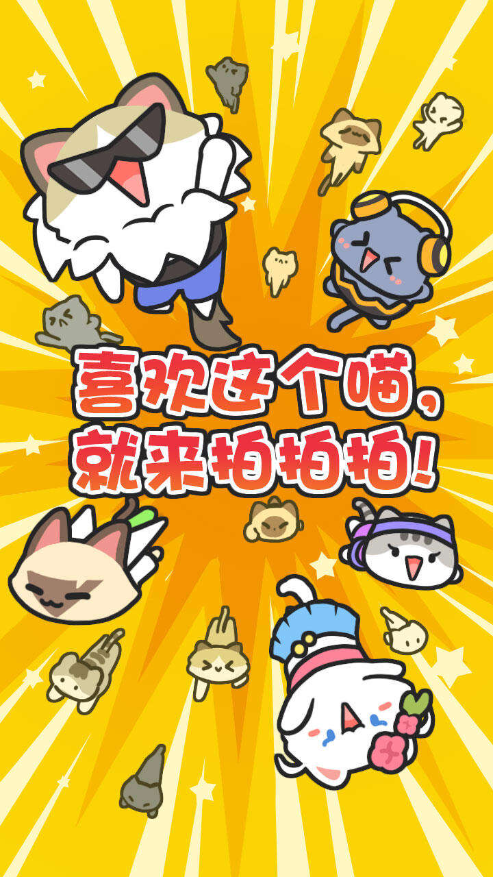 放克猫咪好玩吗？放克猫咪简介