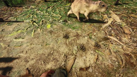 生存游戏《丛林地狱》更新：加入全新动物养殖玩法机制