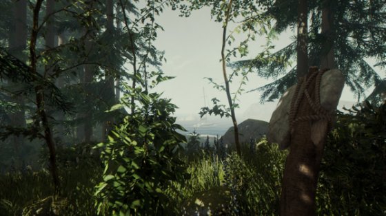 开放世界生存冒险《森林》限时特惠开启 Steam好评如潮