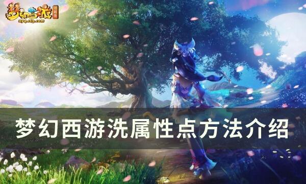 梦幻西游怎么洗属性点 洗属性点方法介绍