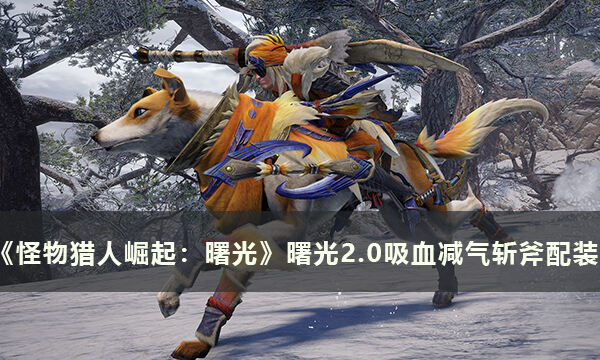 《怪物猎人崛起：曙光》曙光斩斧怎么配装 曙光2.0吸血减气斩斧配装