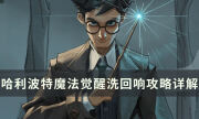 《哈利波特魔法觉醒》怎么洗出好的回响 洗回响攻略详解