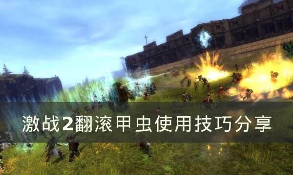 《激战2》翻滚甲虫怎么使用 翻滚甲虫使用技巧分享