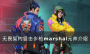《無畏契約》marshal元帥好用嗎 狙擊步槍marshal元帥介紹