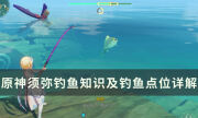 《原神》须弥钓鱼小技巧分享 须弥钓鱼知识及钓鱼点位详解