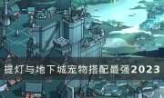 《提燈與地下城》最強寵物搭配是什么 寵物搭配最強2023