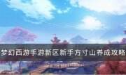 《梦幻西游手游》新区新手方寸山怎么玩 新区新手方寸山养成攻略
