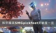 《和平精英》SMGpickfeet灵敏度怎么设置 SMGpickfeet灵敏度一览