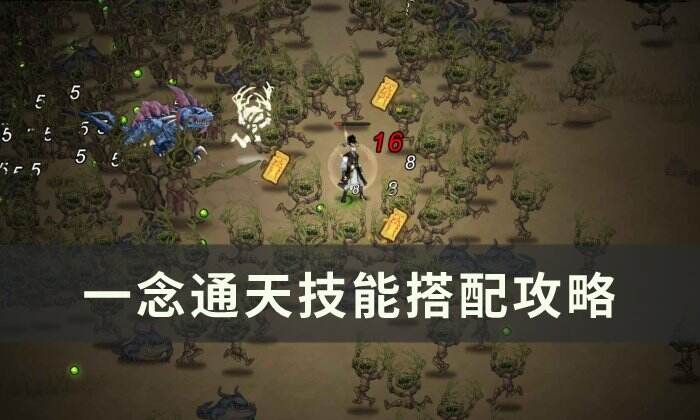 《一念通天》技能怎么搭配 技能搭配攻略