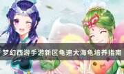 《夢幻西游手游》新區龜速大海龜怎么培養 新區龜速大海龜培養指南