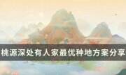 《桃源深處有人家》怎么種地好 最優種地方案分享