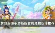 《梦幻西游手游》新服首周竞技伙伴怎么选 新服首周竞技伙伴推荐