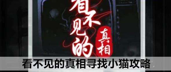 看不见的真相寻找小猫攻略