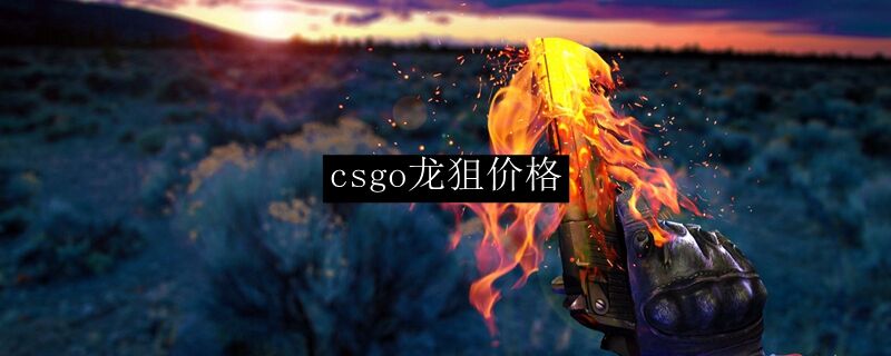 csgo龙狙价格