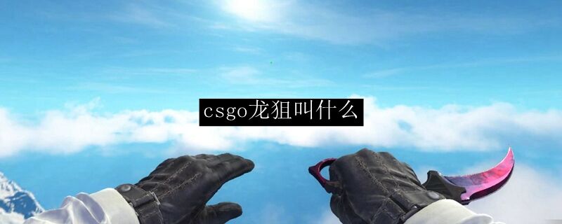 csgo龙狙叫什么