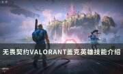 《无畏契约》盖克技能是什么 盖克英雄技能介绍