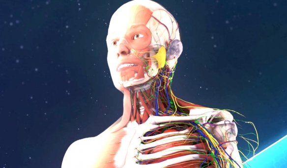 剖析人体奥妙！ 《人体解剖VR》现已登陆PS VR