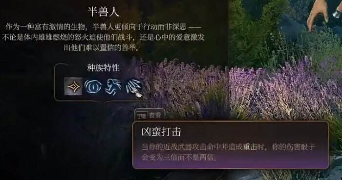 《博德之门3》野蛮人选什么种族 野蛮人种族推荐