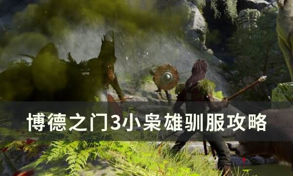 《博德之门3》小枭熊怎么驯服 小枭熊驯服攻略