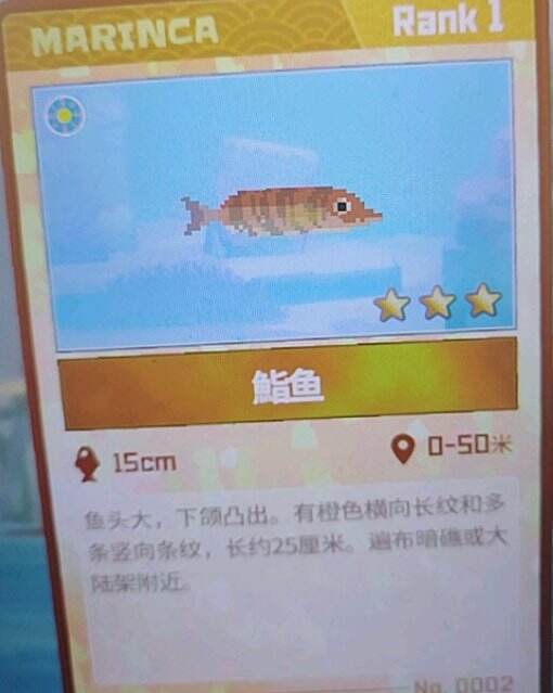 《潜水员戴夫》鮨鱼在哪抓 鮨鱼抓捕位置介绍