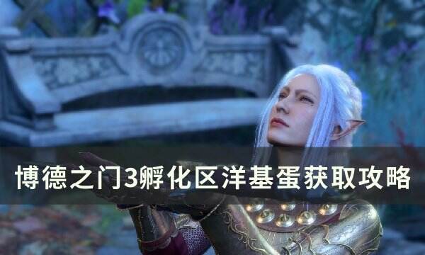 《博德之门3》洋基蛋怎么拿 养育间孵化区洋基蛋获取攻略