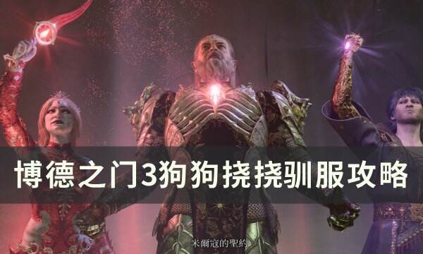《博德之门3》挠挠怎么带走 狗狗挠挠驯服攻略